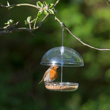 I Love Robins - Pearl Suet & Mealworm Feeder